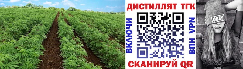 дарнет шоп  Облучье  ТГК жижа 