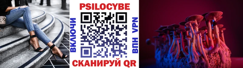 mega ссылка Облучье Галлюциногенные грибы Cubensis